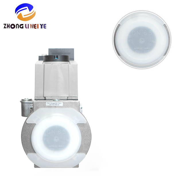 Dungs DMV 5065/12 — product photo