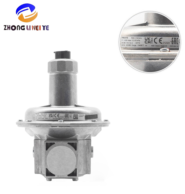 Dungs FRS 5065 — product photo