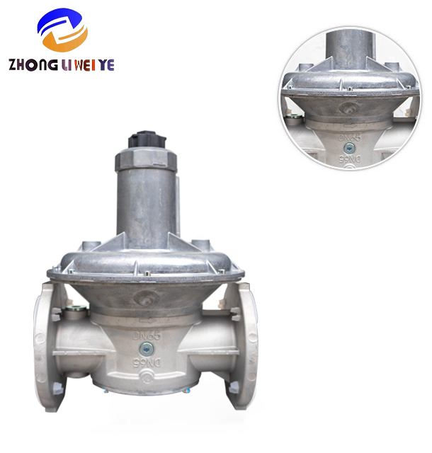 Gas Pressure Regulator