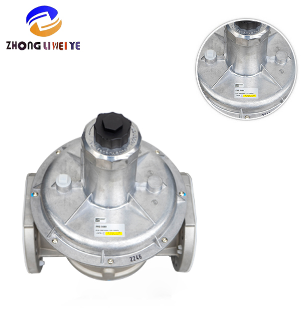 Gas Pressure Regulator