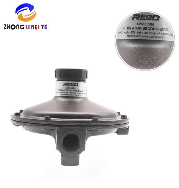 Gas Pressure Regulator